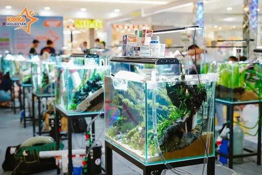 koika-aquastar-su-kien-thuy-sinh-quoc-te-lan-dau-tien-to-chuc-tai-viet-nam