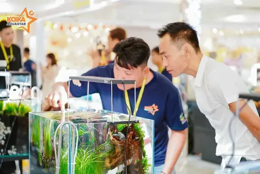 koika-aquastar-su-kien-thuy-sinh-quoc-te-lan-dau-tien-to-chuc-tai-viet-nam